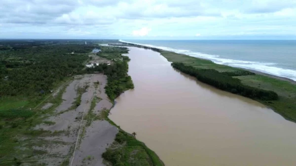 Dampak Shrimp Estate: Penyu Lekang Tak Bertandang, Laut Kebumen Tercemar Tambak Udang